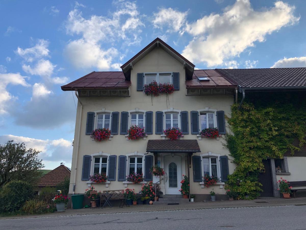 Ferienwohnung Haus Sutter Schopfheim Luaran gambar